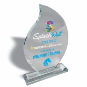 FLAME GLASS TROPHY 280MM Trophy Guy www.trophyguy.co.za FLAME GLASS TROPHY 280MM