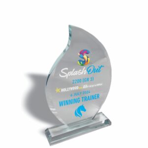 FLAME GLASS TROPHY 240MM Trophy Guy www.trophyguy.co.za FLAME GLASS TROPHY 240MM