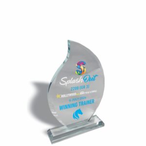 FLAME GLASS TROPHY 200MM Trophy Guy www.trophyguy.co.za FLAME GLASS TROPHY 200MM