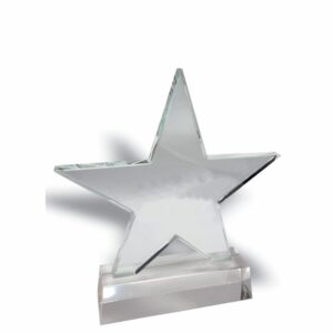 STAR GLASS TROPHY 240MM Trophy Guy www.trophyguy.co.za STAR GLASS TROPHY 240MM