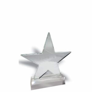 STAR GLASS TROPHY 215MM Trophy Guy www.trophyguy.co.za STAR GLASS TROPHY 215MM