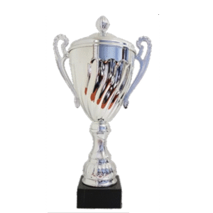 Aster Metal Cup 500mm