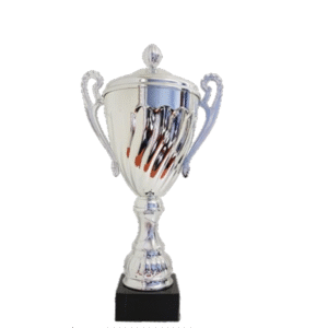 Aster Metal Cup 440mm