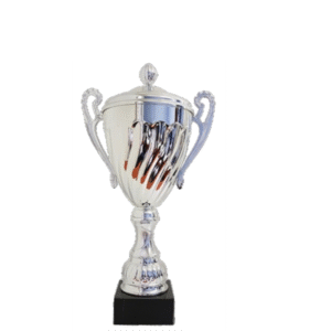 Aster Metal Cup 410mm