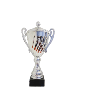 Aster Metal Cup 370mm