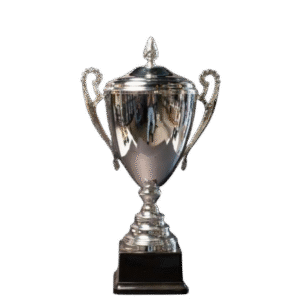 Zinnia Metal Cup 490mm