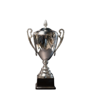 Zinnia Metal Cup 450mm