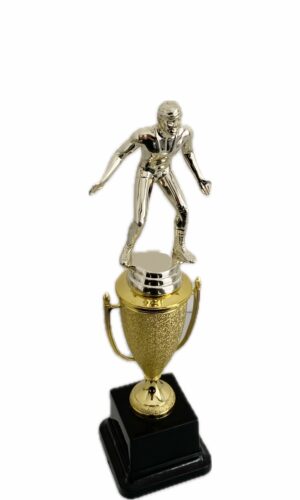 WRESTLING MALE TROPHY 270MM HIGH