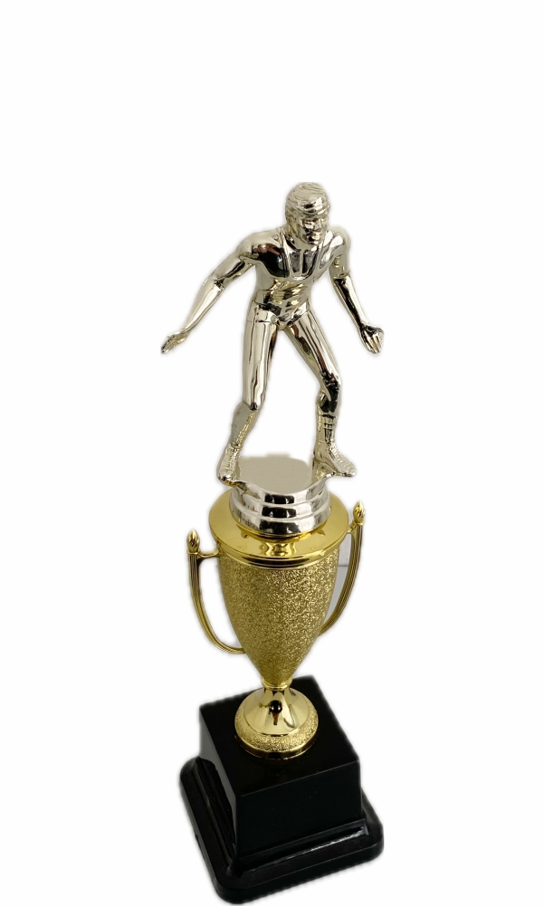 Wrestling Trophies