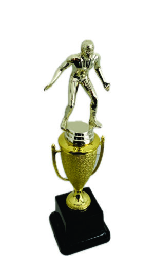 WRESTLING MALE TROPHY 290MM HIGH