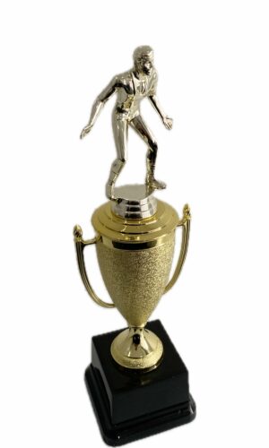 WRESTLING MALE TROPHY 320MM HIGH
