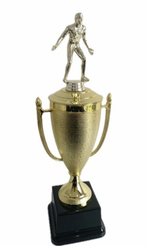 WRESTLING MALE TROPHY 370MM HIGH