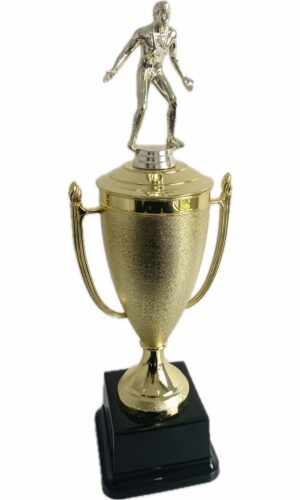 WRESTLING MALE TROPHY 410MM HIGH