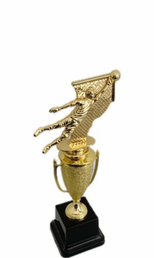 SOCCER GOAL KEEPER TROPHY 250MM HIGH