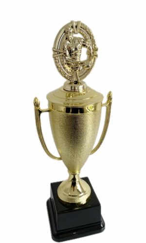 RUGBY PASS TROPHY 300MM HIGH