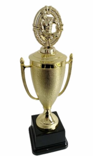 RUGBY PASS TROPHY 300MM HIGH
