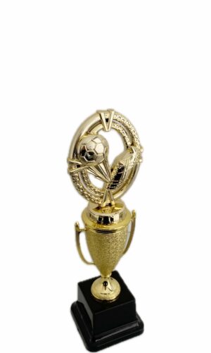 SOCCER BOOT & BALL TROPHY 250MM HIGH