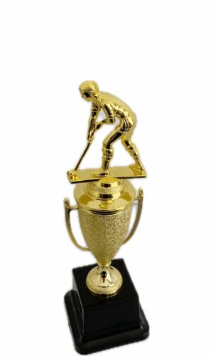 HOCKEY PLAYER MALE TROPHY 260MM HIGH