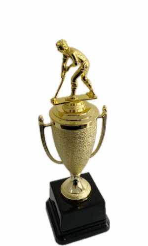 HOCKEY PLAYER MALE TROPHY 290MM HIGH