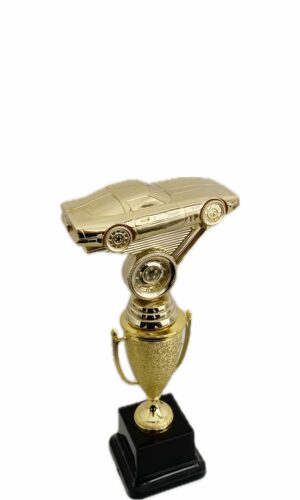 CORVETTE TROPHY 250MM HIGH