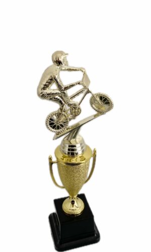 BMX BIKE TROPHY 280MM HIGH