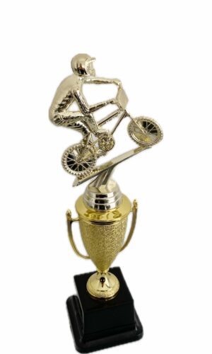 BMX BIKE TROPHY 300MM HIGH