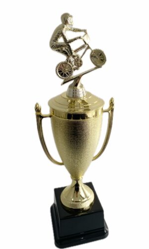 BMX BIKE TROPHY 350MM HIGH