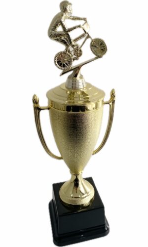 BMX BIKE TROPHY 390MM HIGH