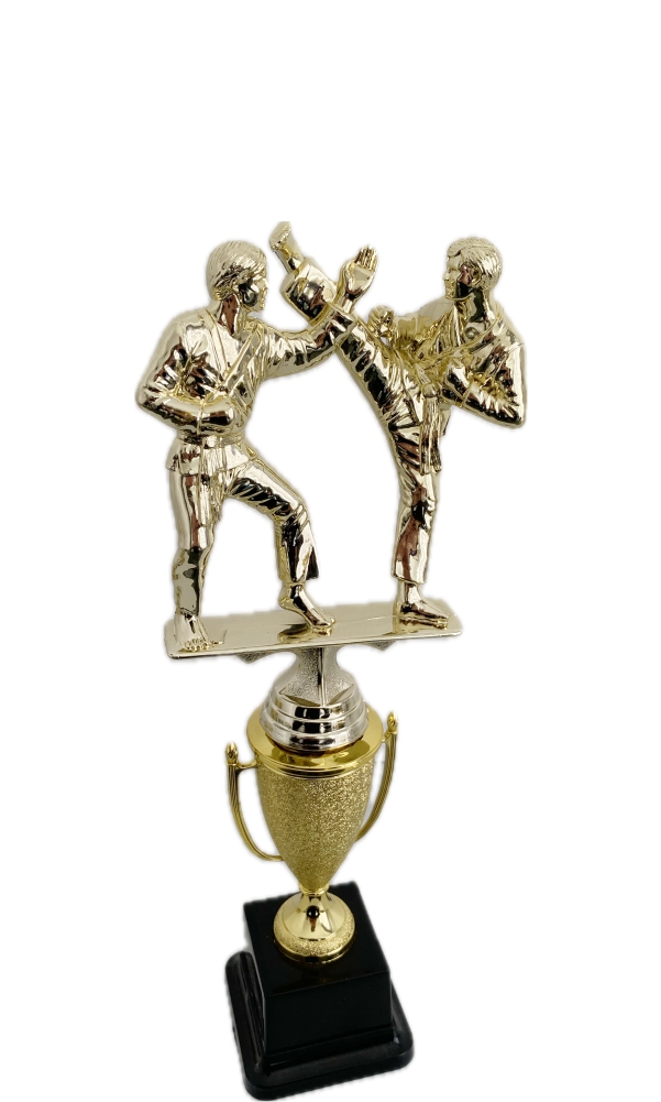 Karate Trophies