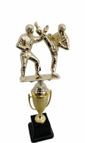 KARATE DOUBLE MALE TROPHY 330MM HIGH