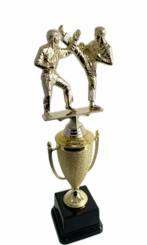 KARATE DOUBLE MALE TROPHY 360MM HIGH