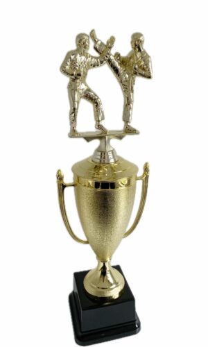 KARATE DOUBLE MALE TROPHY 410MM HIGH