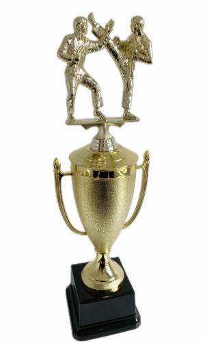 KARATE DOUBLE MALE TROPHY 450MM HIGH