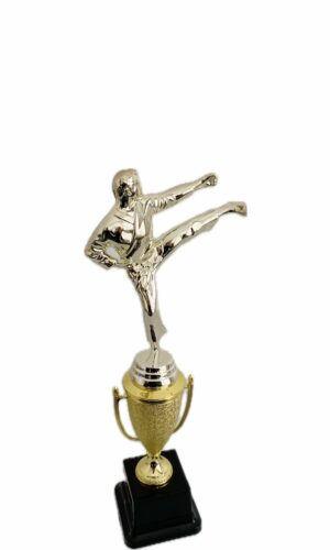 KARATE MALE TROPHY 300MM HIGH