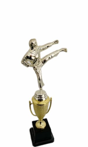 KARATE MALE TROPHY 320MM HIGH