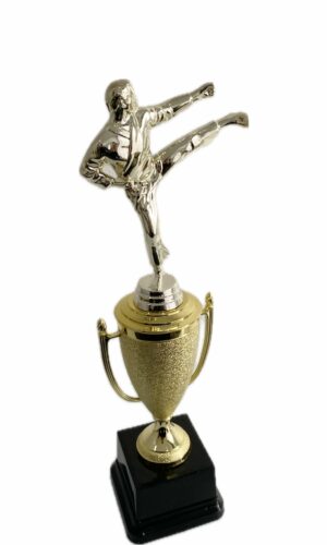 KARATE MALE TROPHY 350MM HIGH