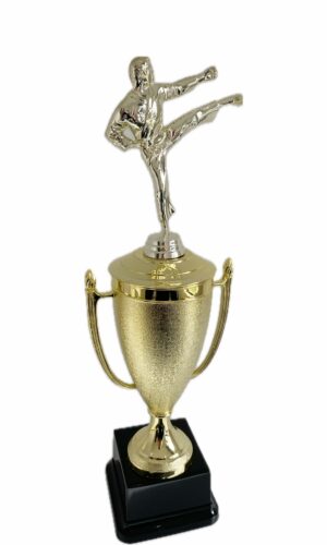 KARATE MALE TROPHY 400MM HIGH