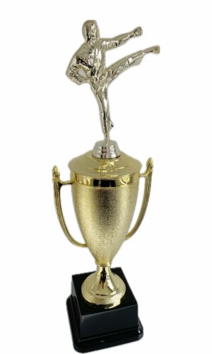KARATE MALE TROPHY 440MM HIGH