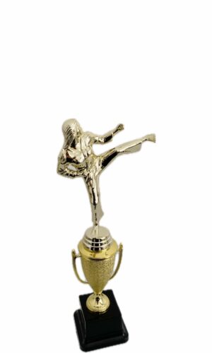 KARATE FEMALE TROPHY 300MM HIGH