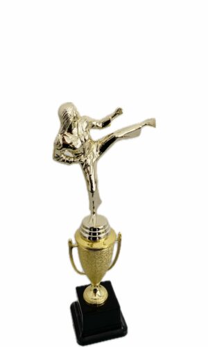 KARATE FEMALE TROPHY 320MM HIGH