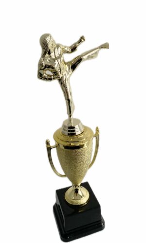 KARATE FEMALE TROPHY 350MM HIGH