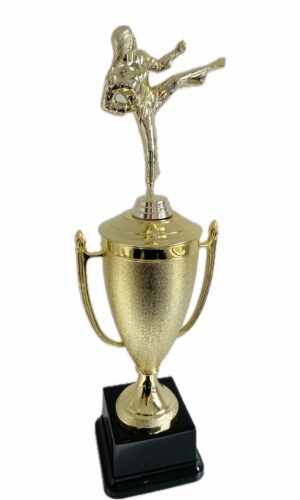 KARATE FEMALE TROPHY 400MM HIGH