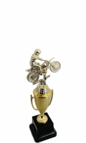 MOTORCYCLE TROPHY 270MM HIGH