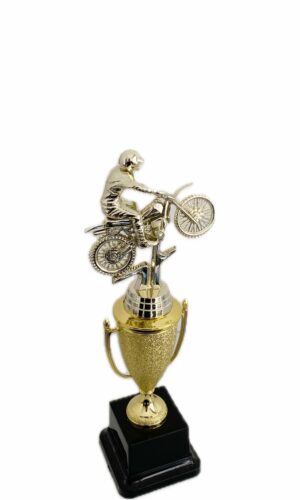MOTORCYCLE TROPHY 290MM HIGH
