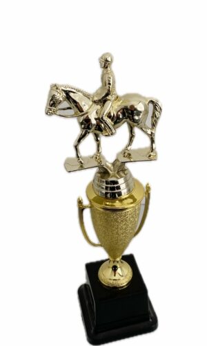 EQUESTRIAN TROPHY 290MM HIGH