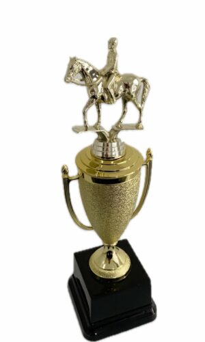 EQUESTRIAN TROPHY 320MM HIGH