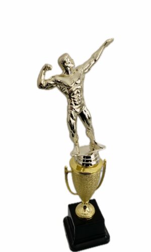 BODY BUILDING MALE TROPHY 330MM HIGH