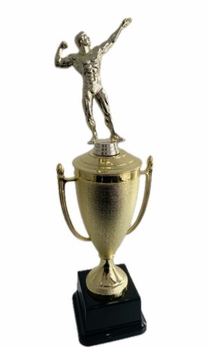 BODY BUILDING MALE TROPHY 410MM HIGH