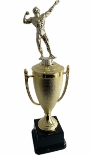 BODY BUILDING MALE TROPHY 450MM HIGH