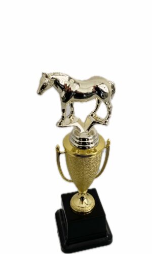 QUARTER HORSE TROPHY 270MM HIGH